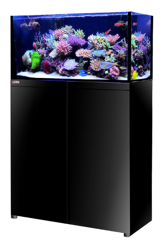 Reef Octopus Octo Lux Aquarium Full Setup 48 gal