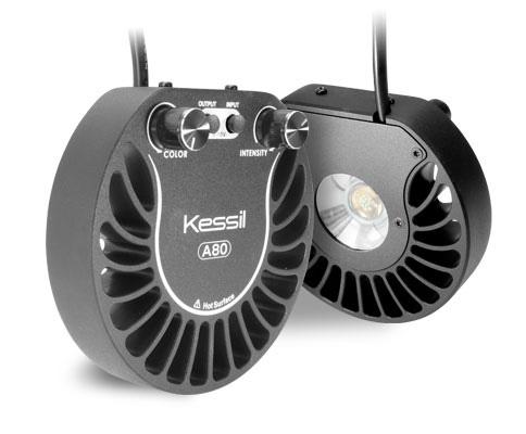 Kessil A80 Tuna Blue