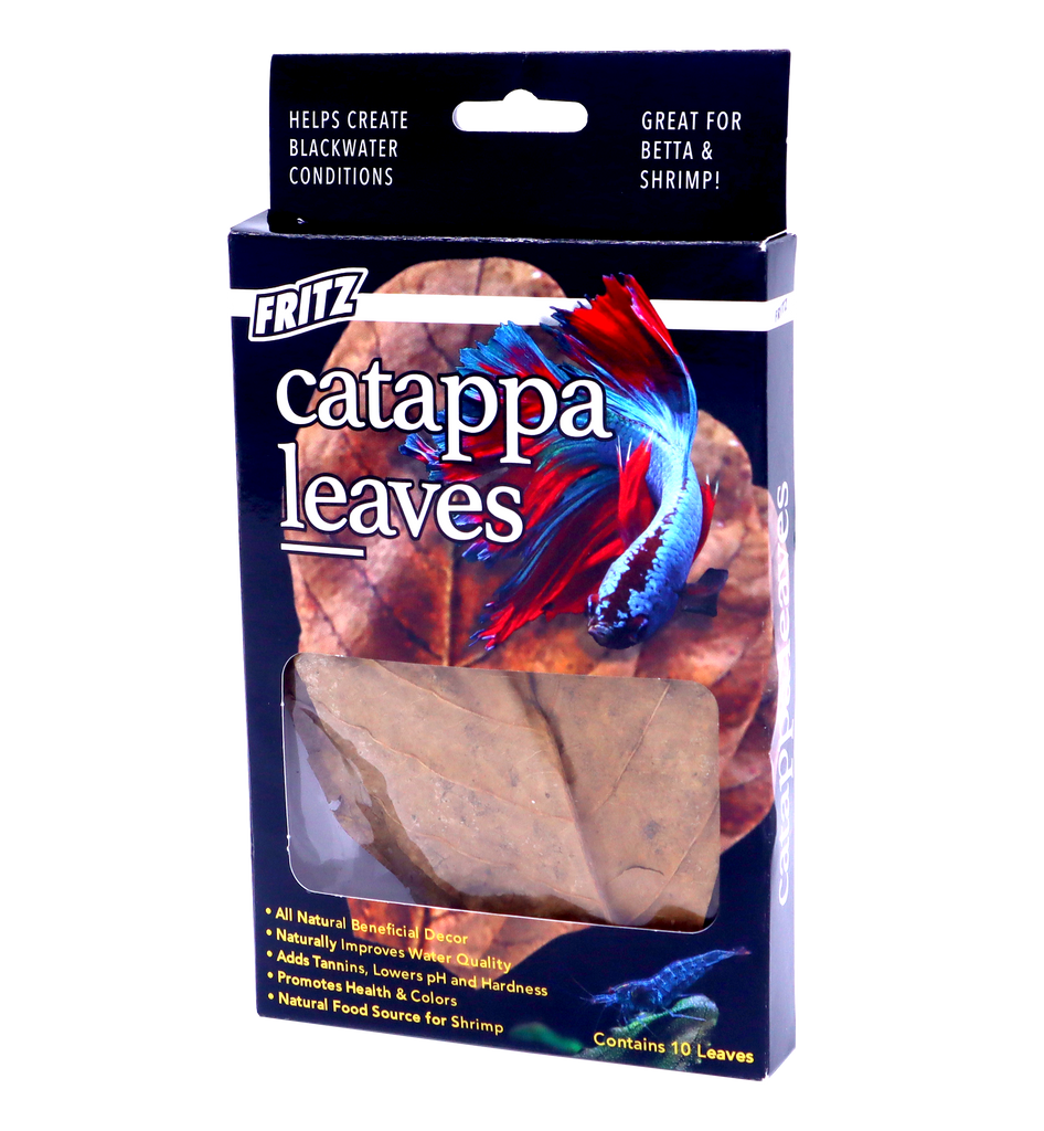 Fritz Catappa Leaves